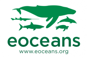 eOceans_Green